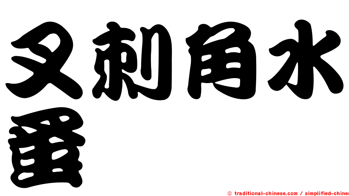 叉刺角水蚤