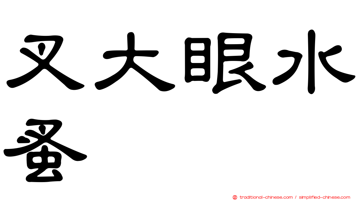 叉大眼水蚤