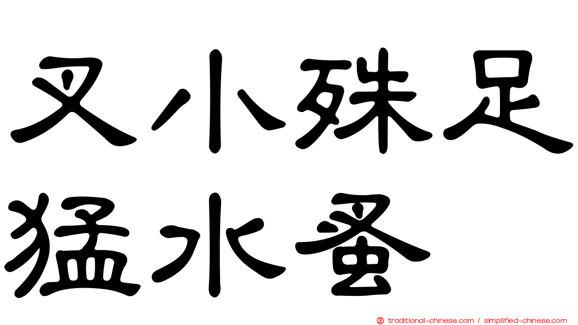 叉小殊足猛水蚤