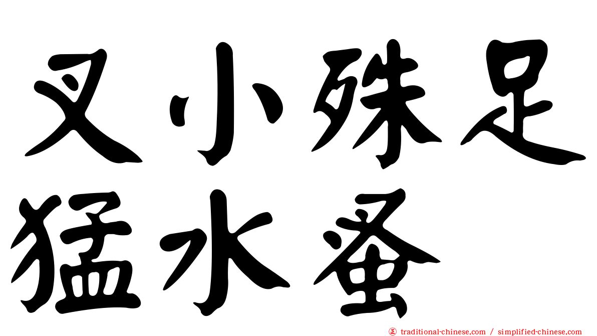 叉小殊足猛水蚤