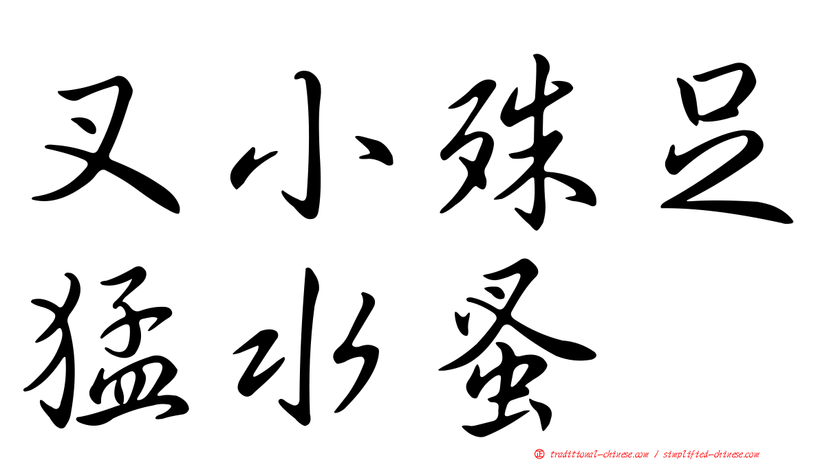 叉小殊足猛水蚤