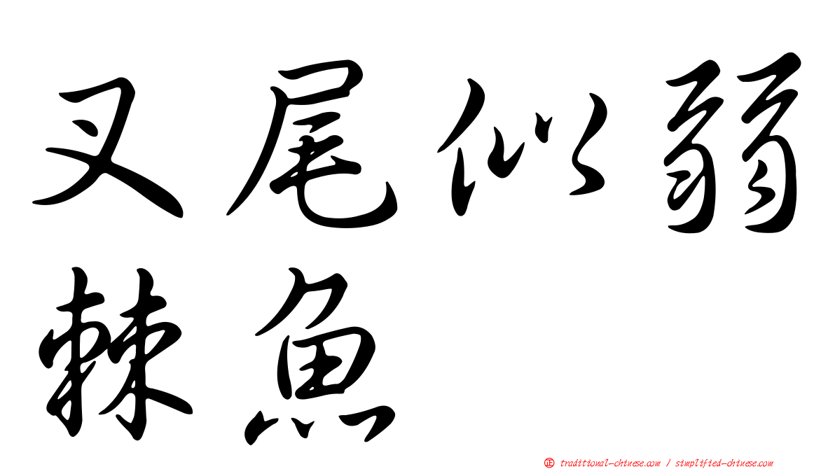 叉尾似弱棘魚