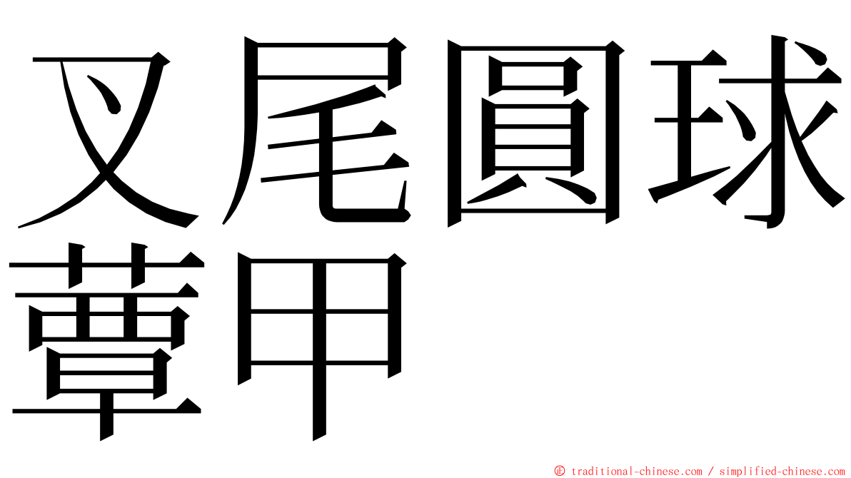 叉尾圓球蕈甲 ming font