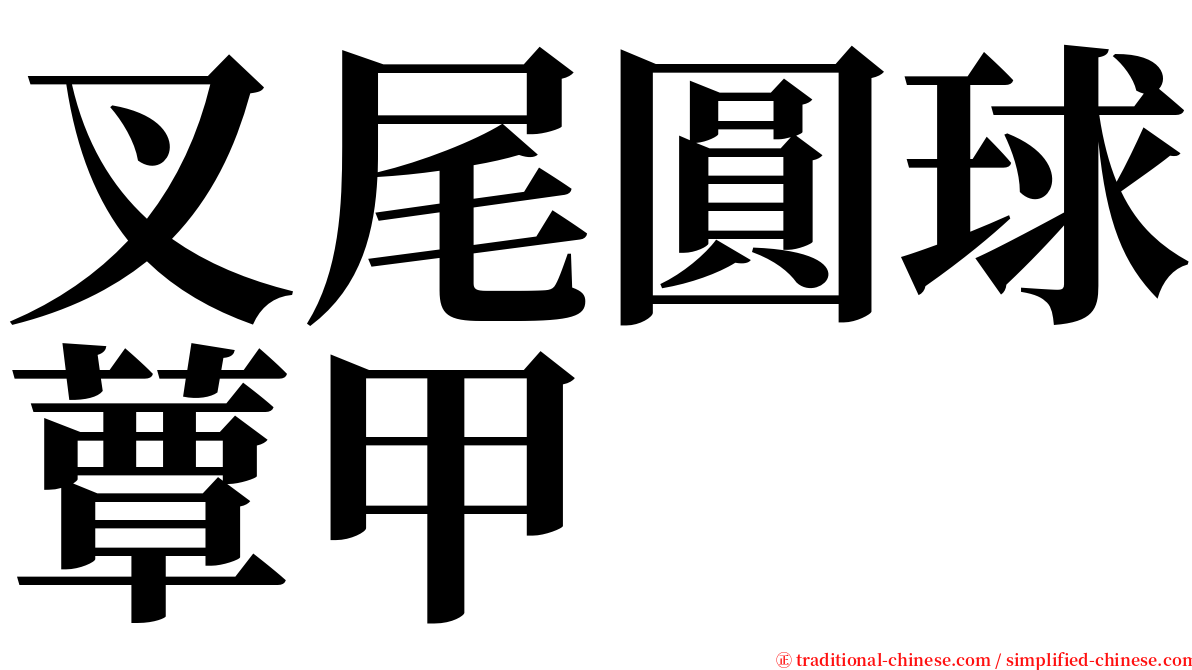 叉尾圓球蕈甲 serif font