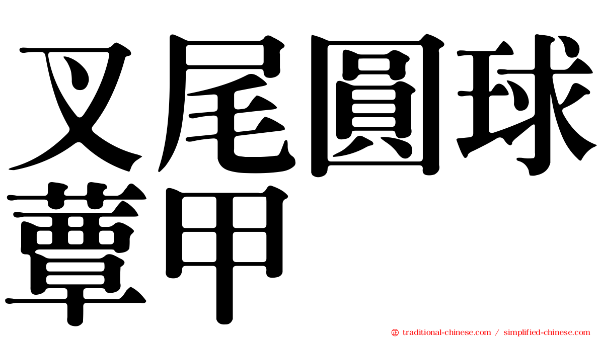 叉尾圓球蕈甲
