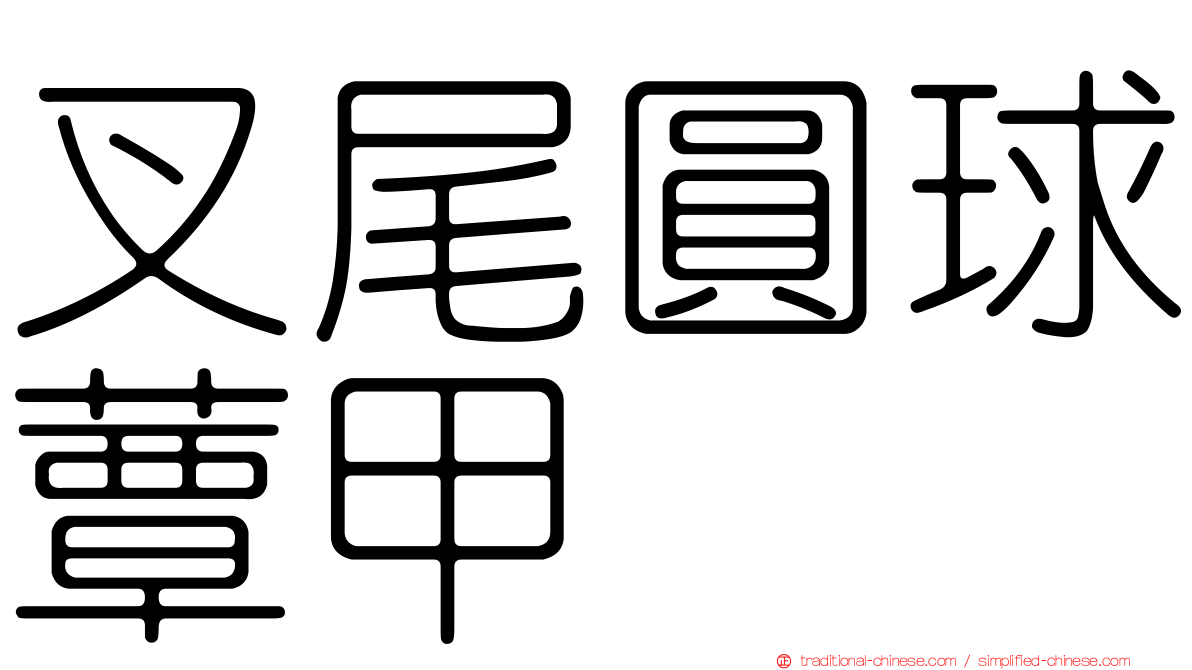 叉尾圓球蕈甲