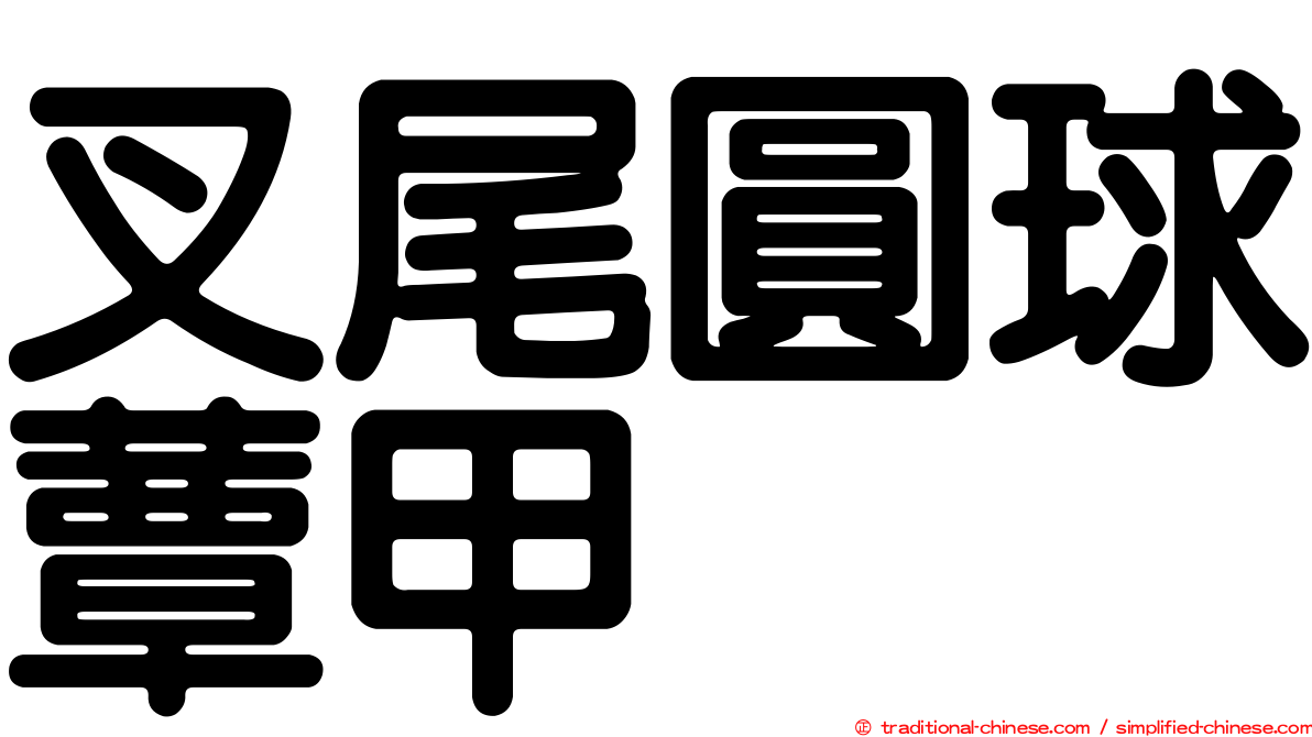 叉尾圓球蕈甲