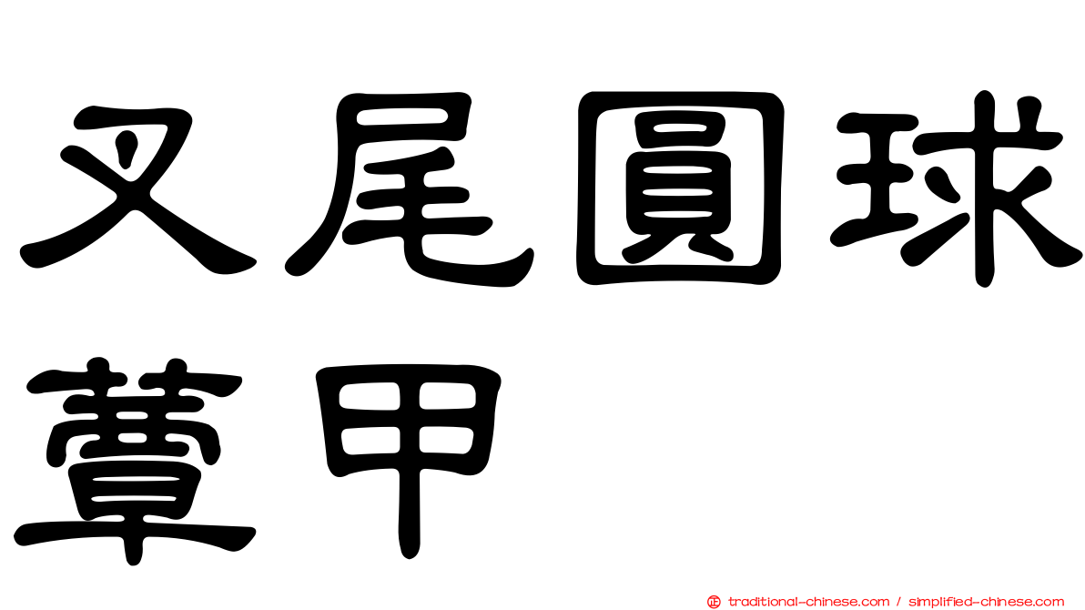 叉尾圓球蕈甲
