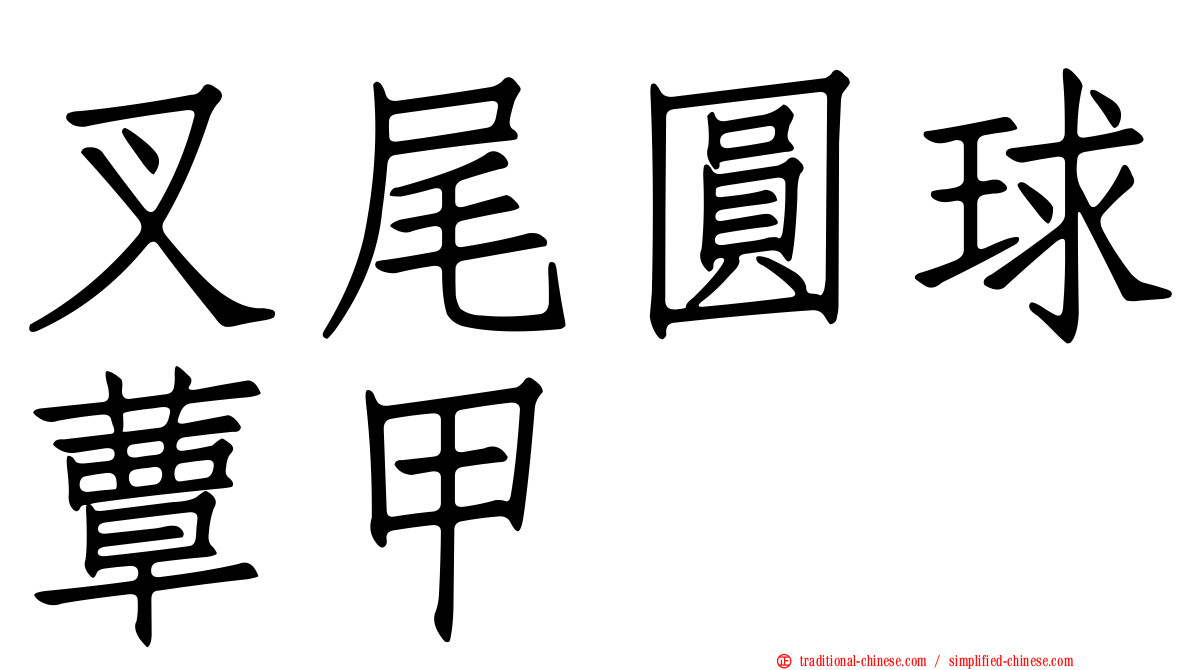 叉尾圓球蕈甲
