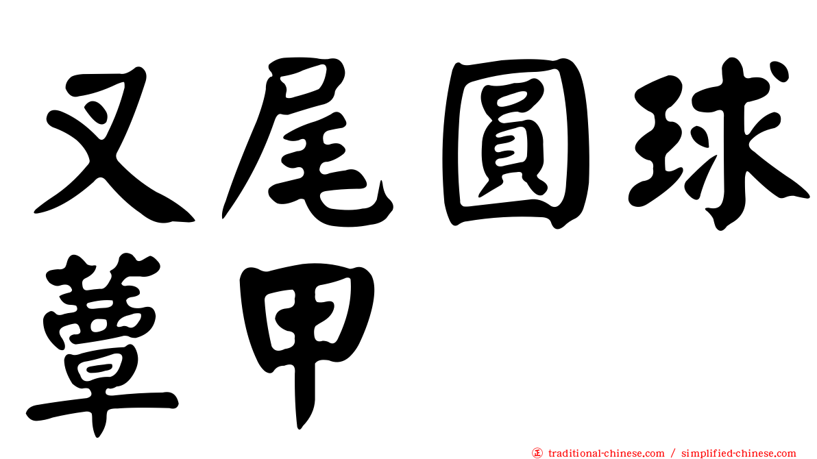 叉尾圓球蕈甲