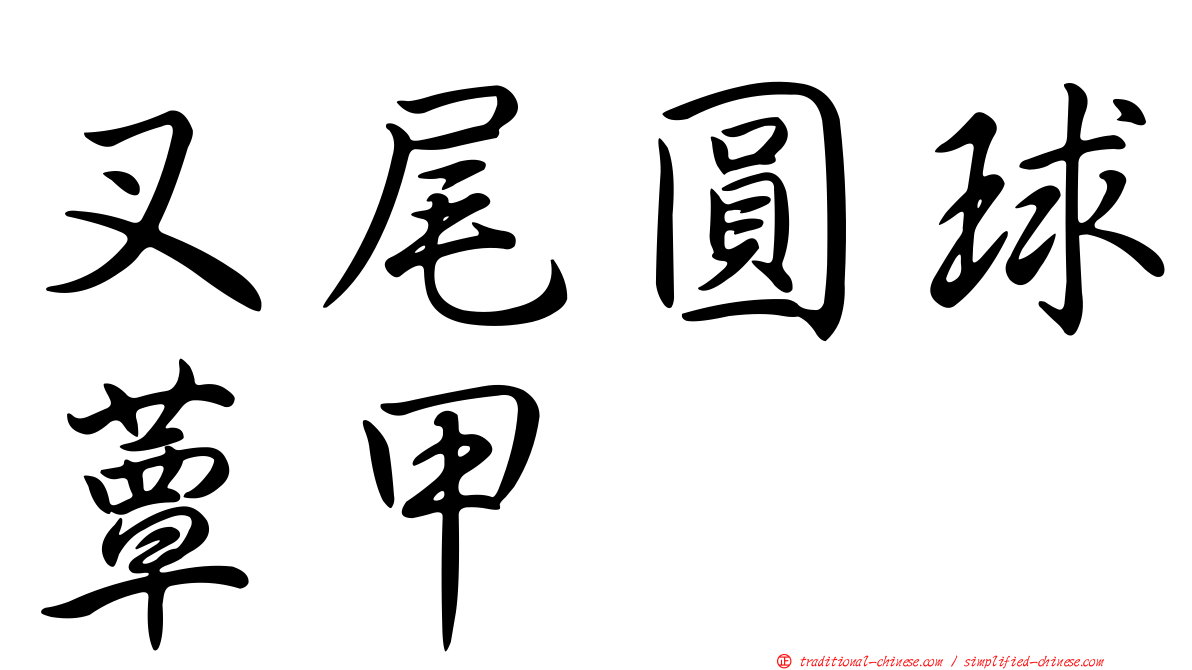 叉尾圓球蕈甲