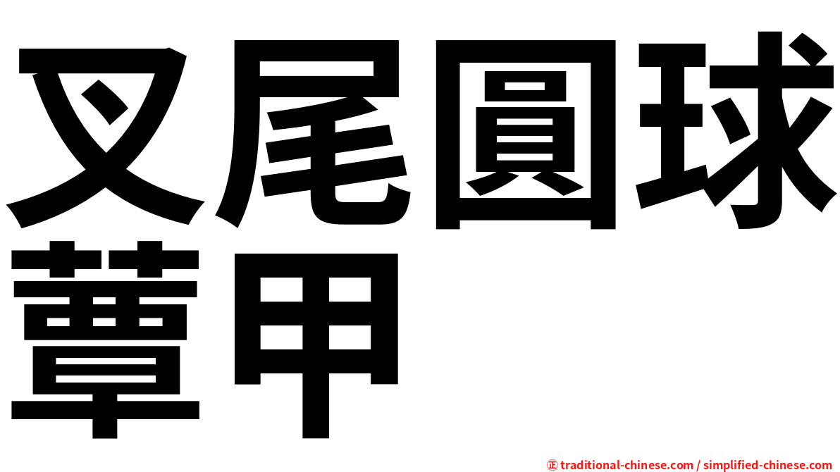 叉尾圓球蕈甲