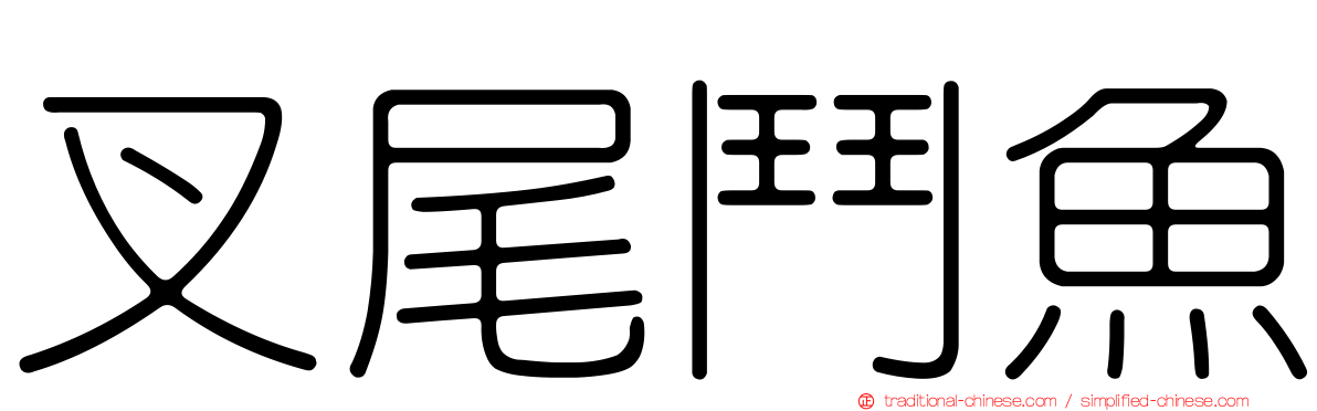 叉尾鬥魚