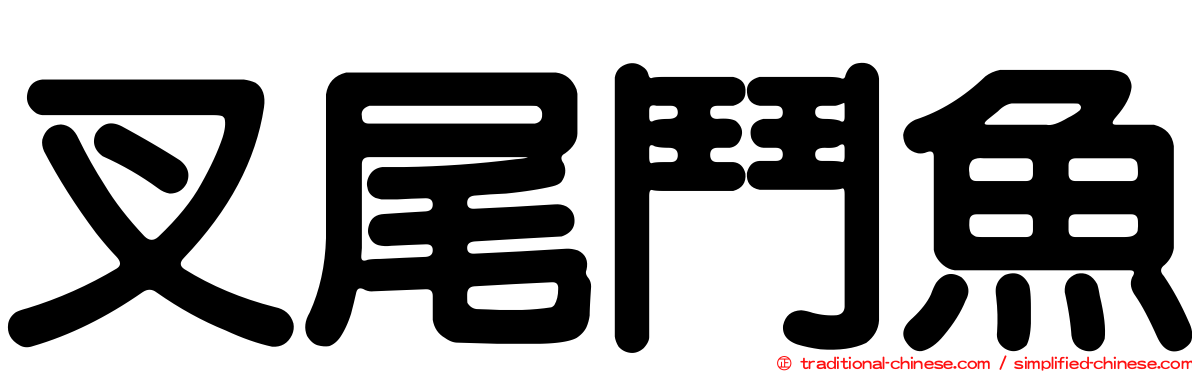 叉尾鬥魚