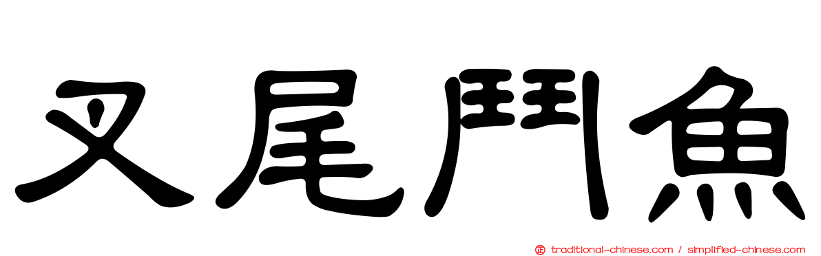 叉尾鬥魚