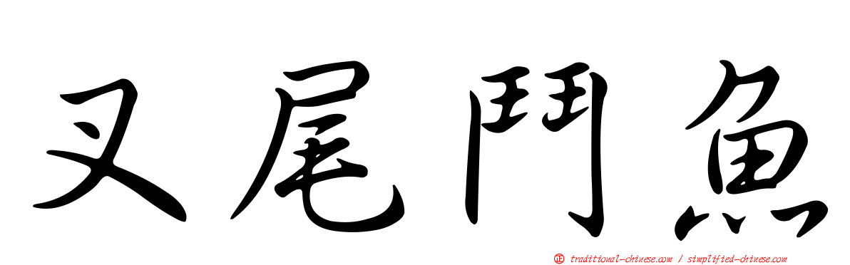 叉尾鬥魚