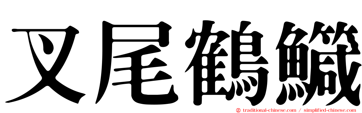叉尾鶴鱵