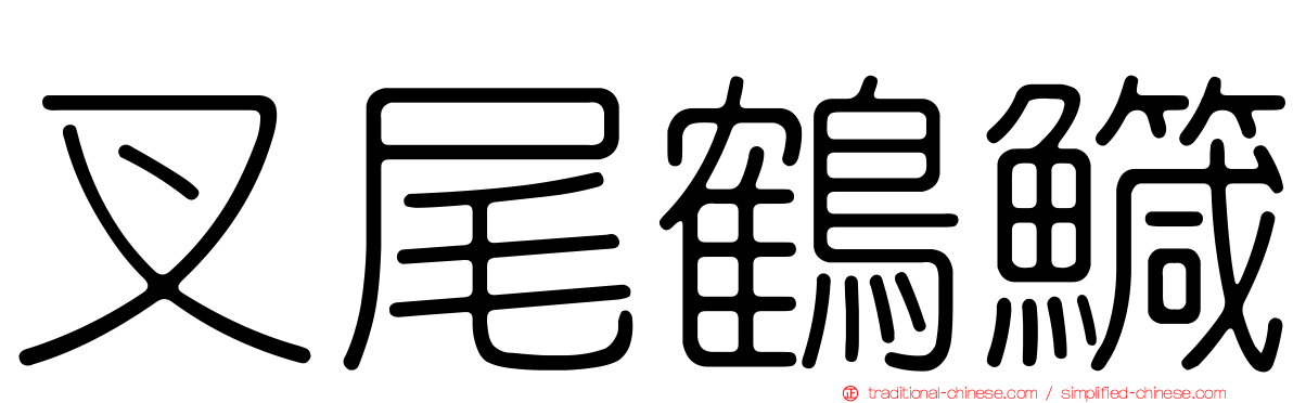 叉尾鶴鱵