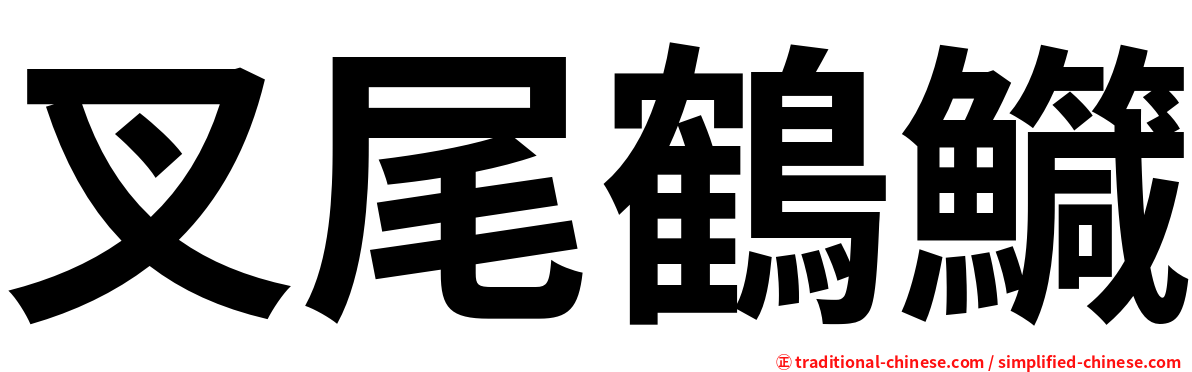 叉尾鶴鱵