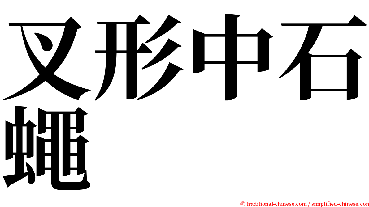 叉形中石蠅 serif font
