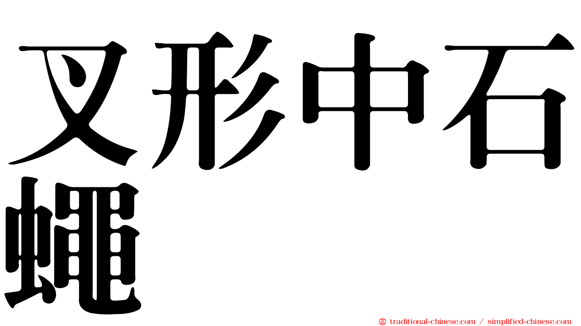 叉形中石蠅