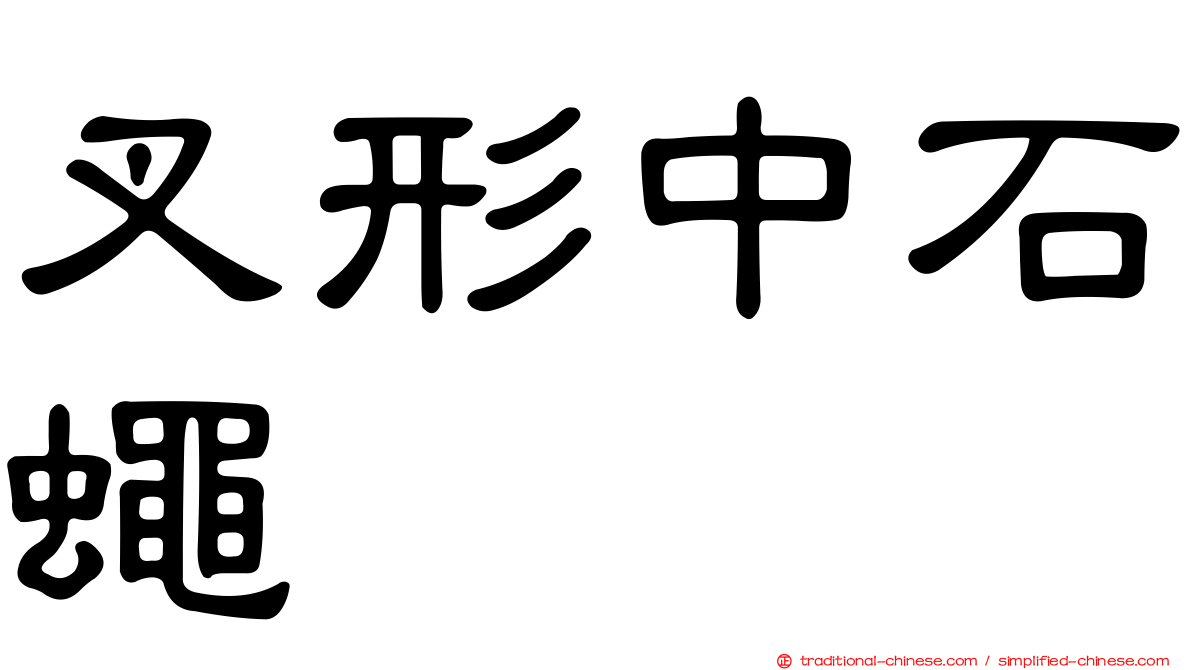 叉形中石蠅