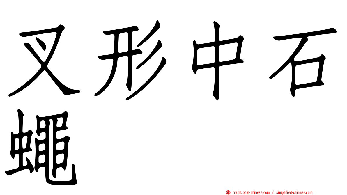 叉形中石蠅
