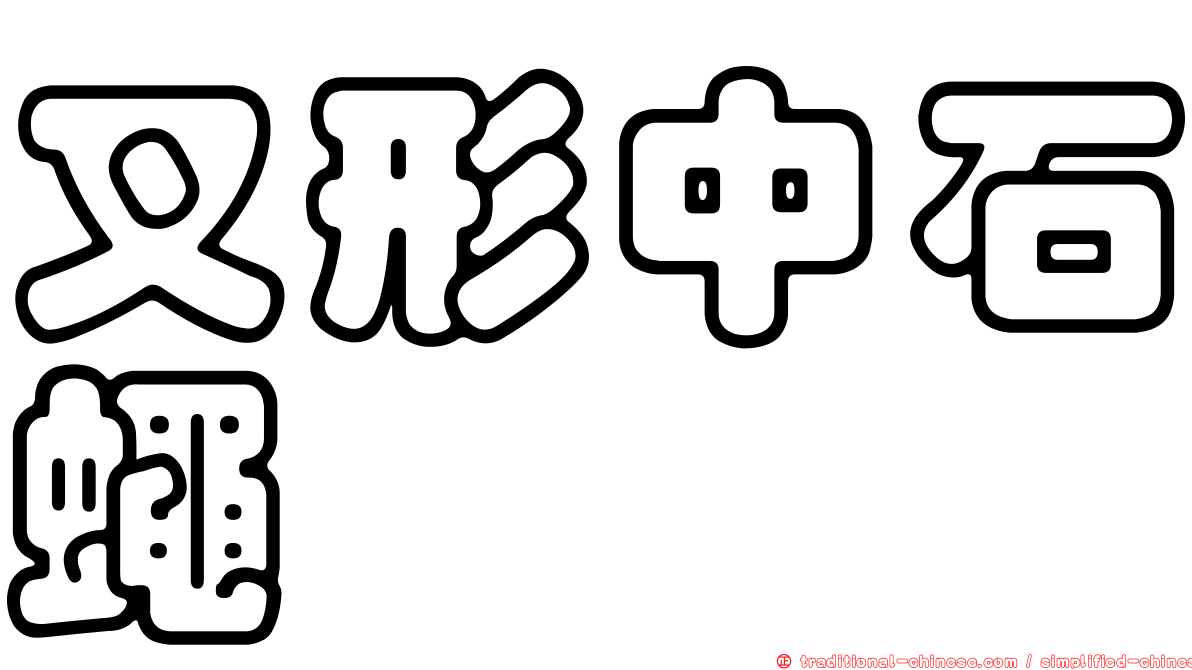 叉形中石蠅