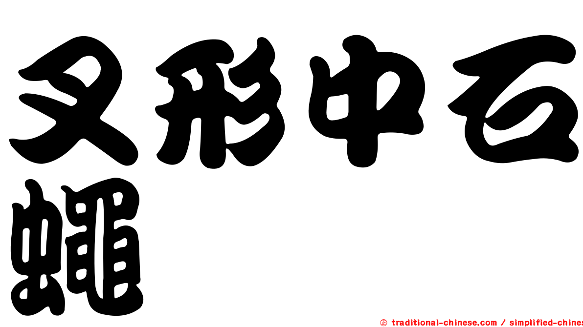 叉形中石蠅