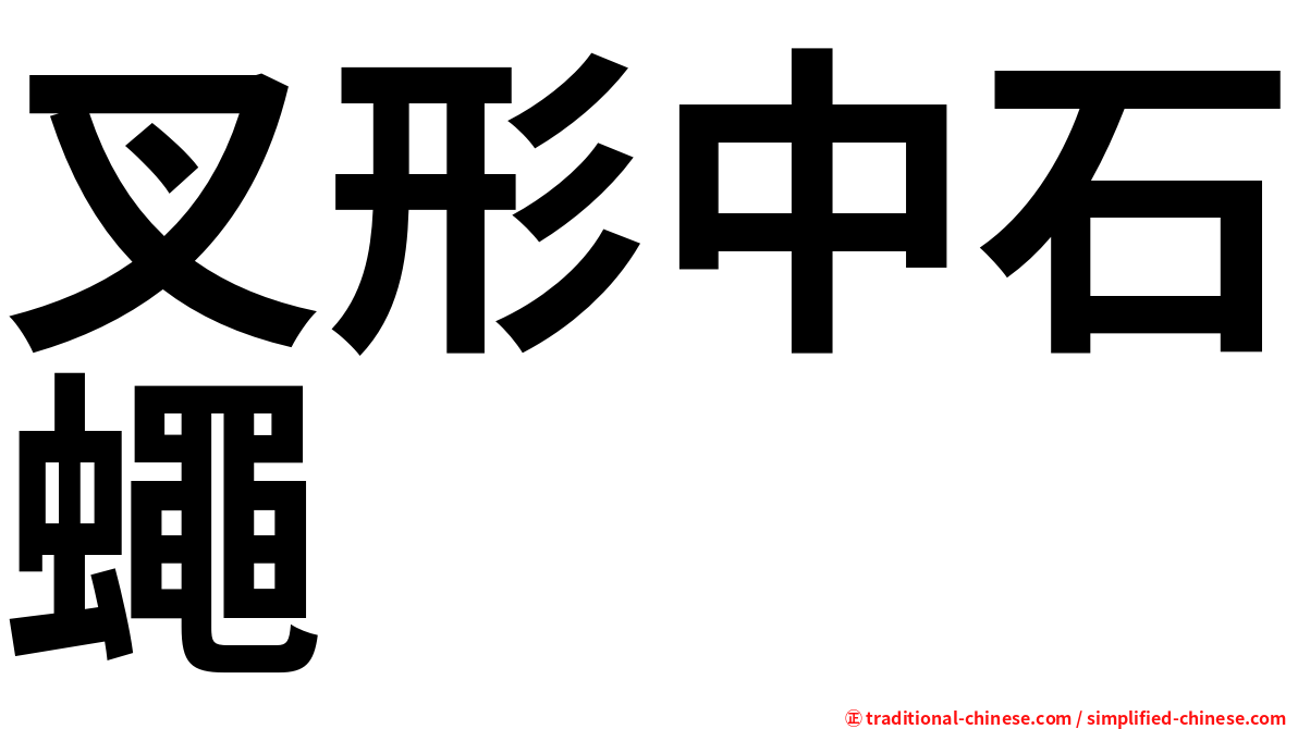 叉形中石蠅