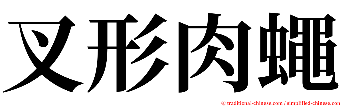 叉形肉蠅 serif font