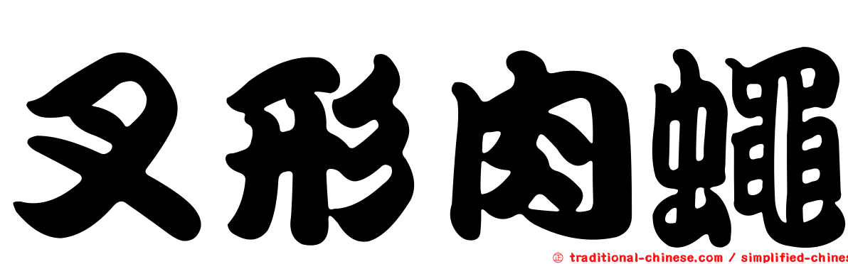 叉形肉蠅