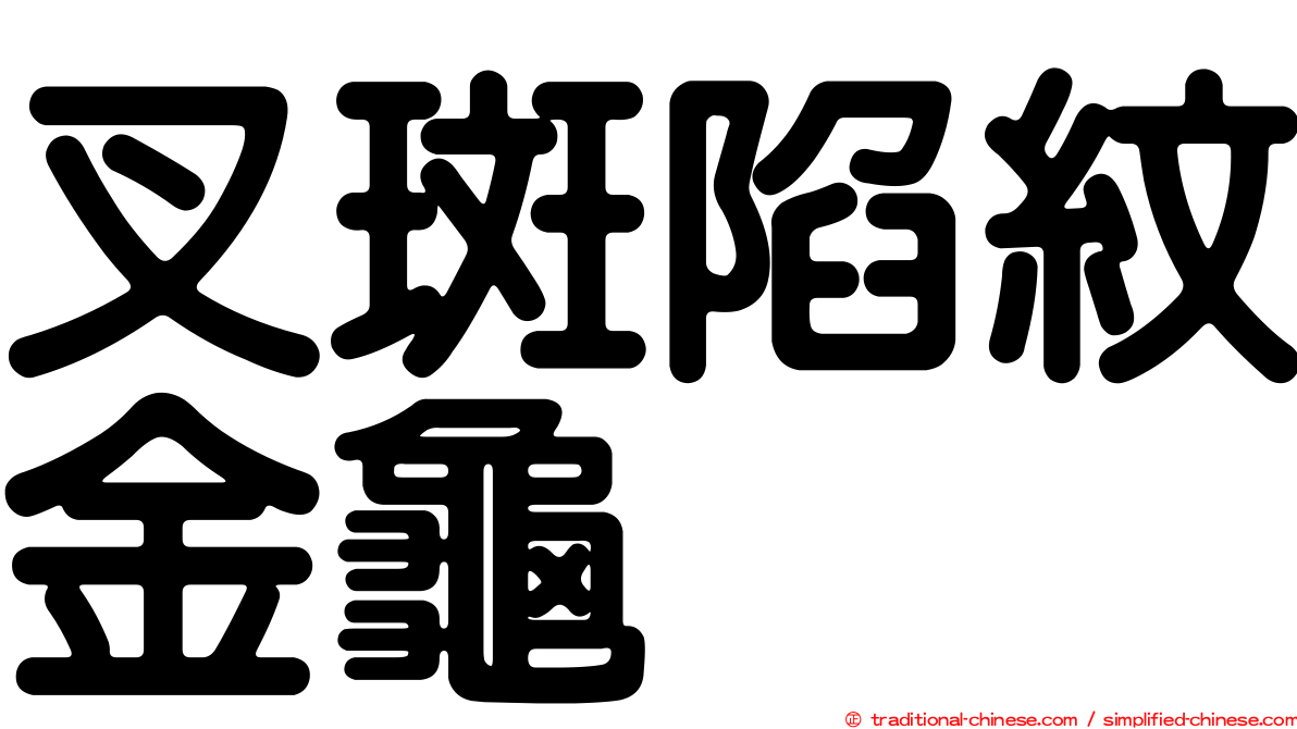 叉斑陷紋金龜