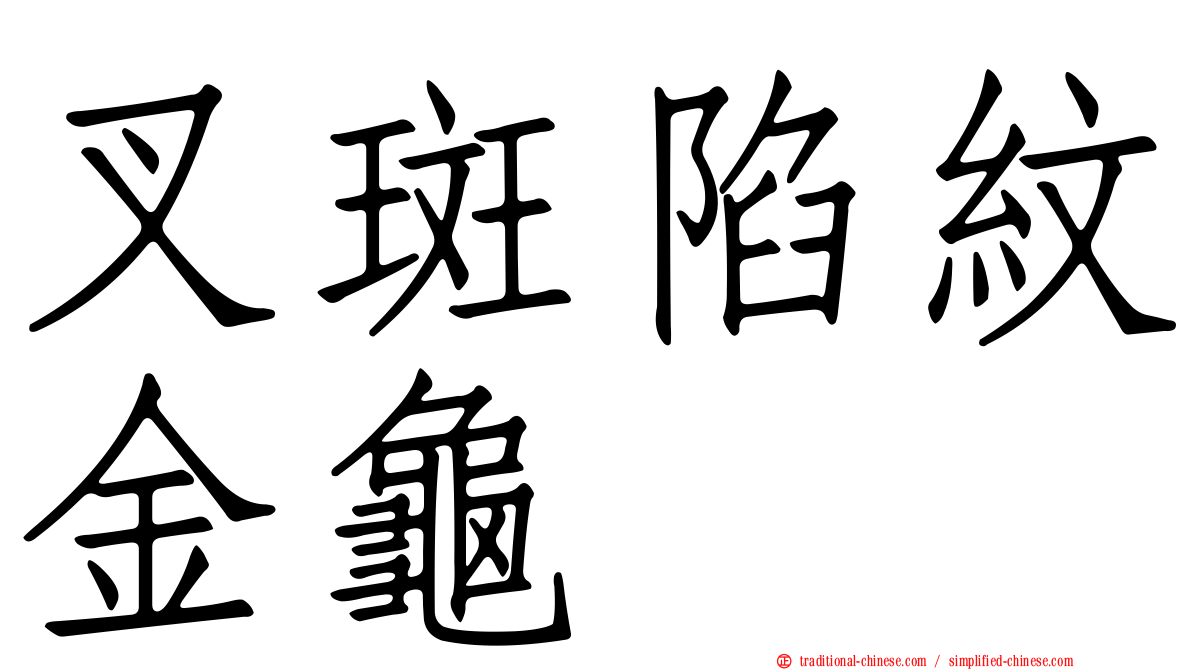 叉斑陷紋金龜