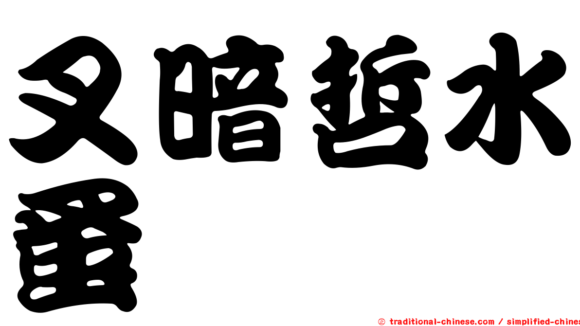 叉暗哲水蚤
