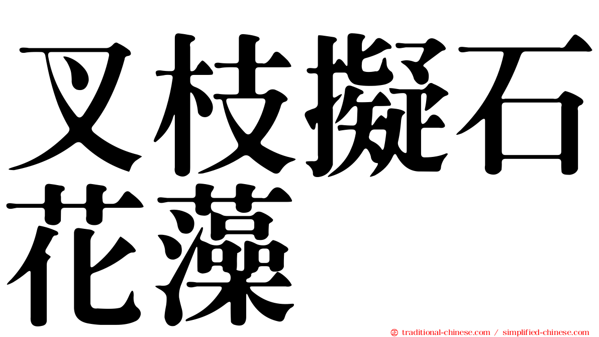 叉枝擬石花藻
