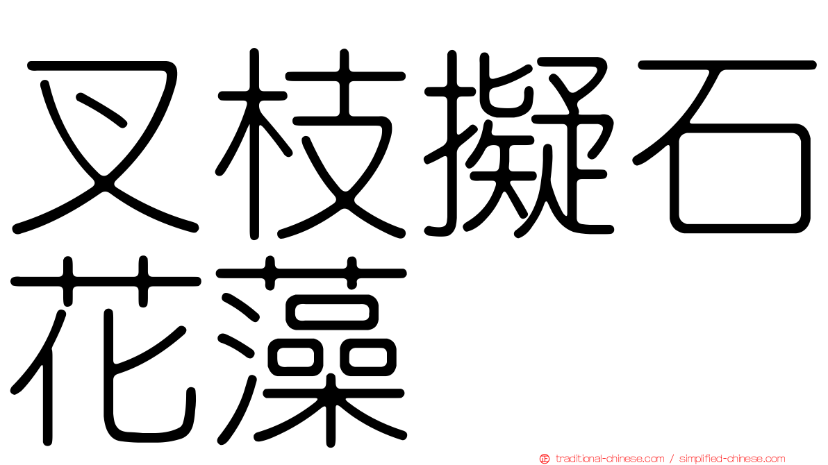 叉枝擬石花藻
