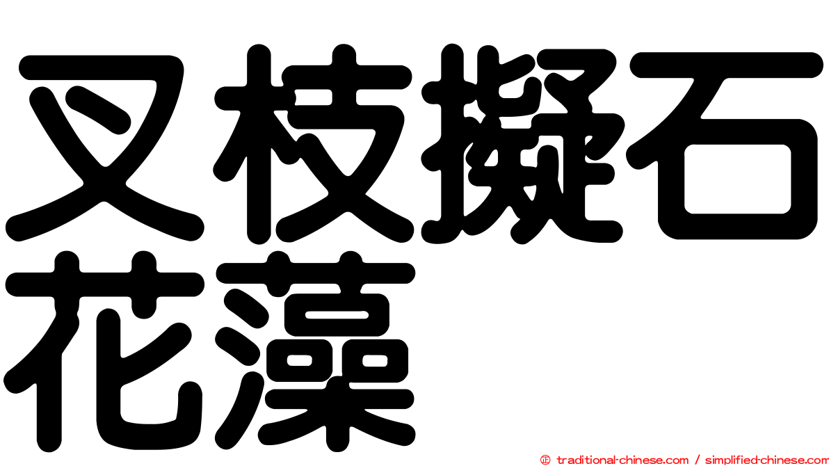 叉枝擬石花藻