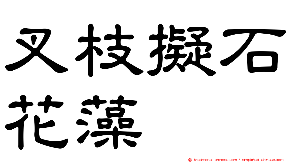叉枝擬石花藻
