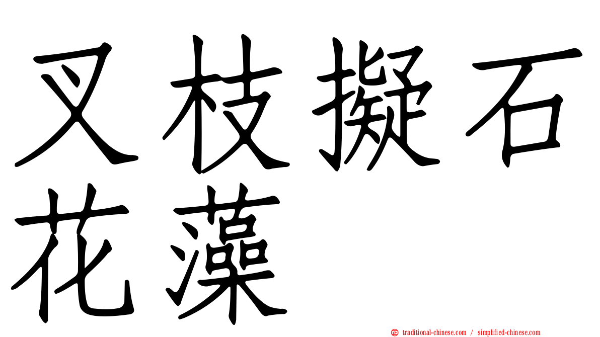 叉枝擬石花藻