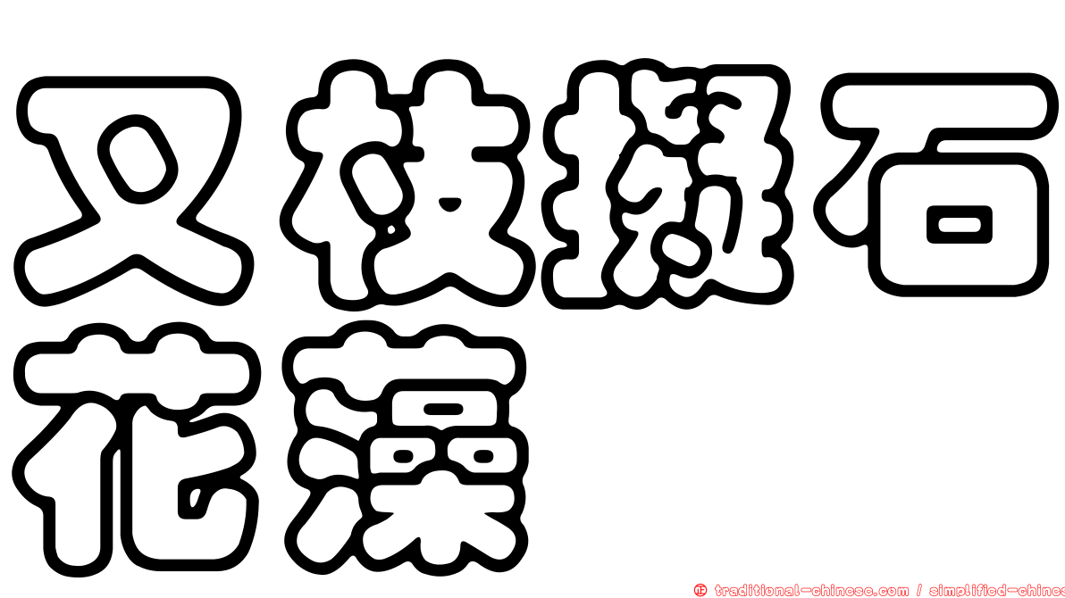 叉枝擬石花藻