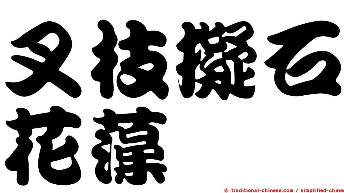 叉枝擬石花藻