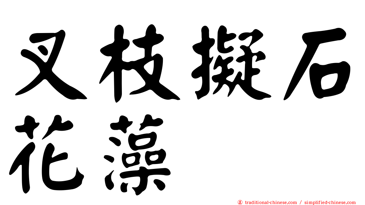 叉枝擬石花藻