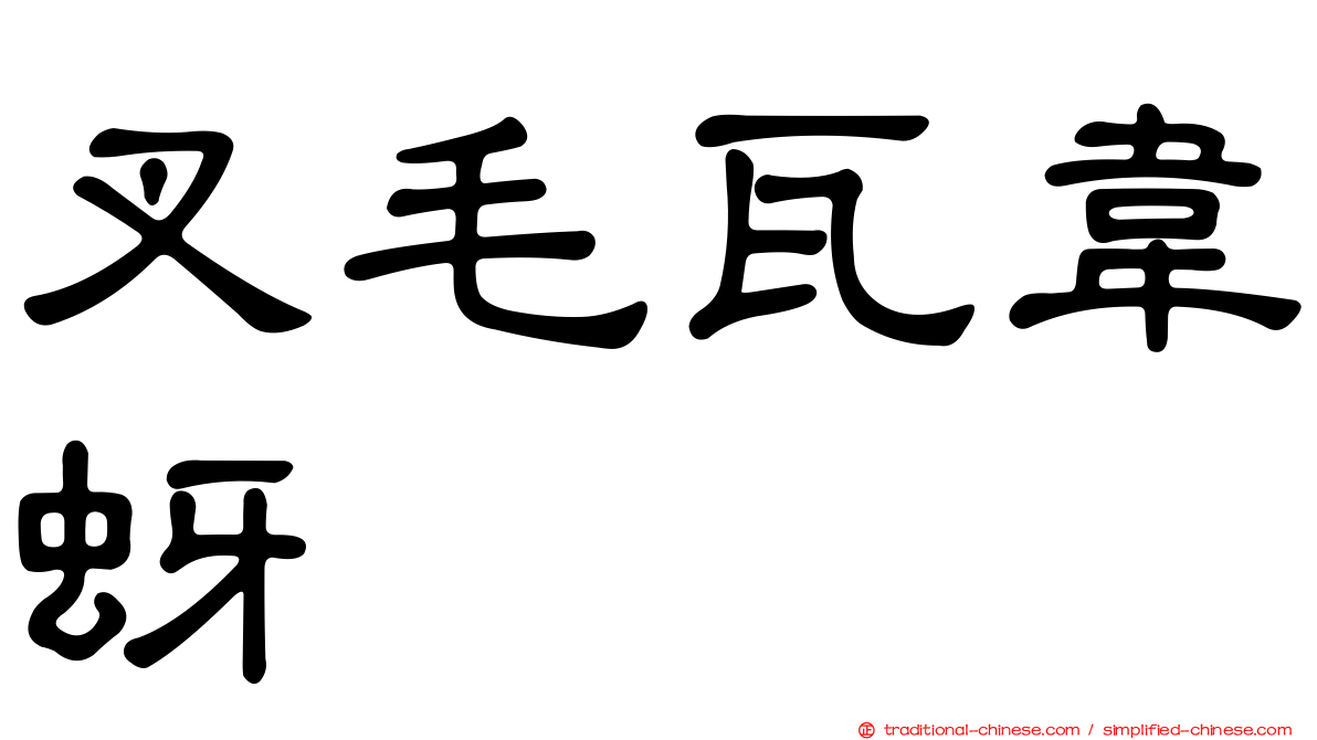 叉毛瓦韋蚜