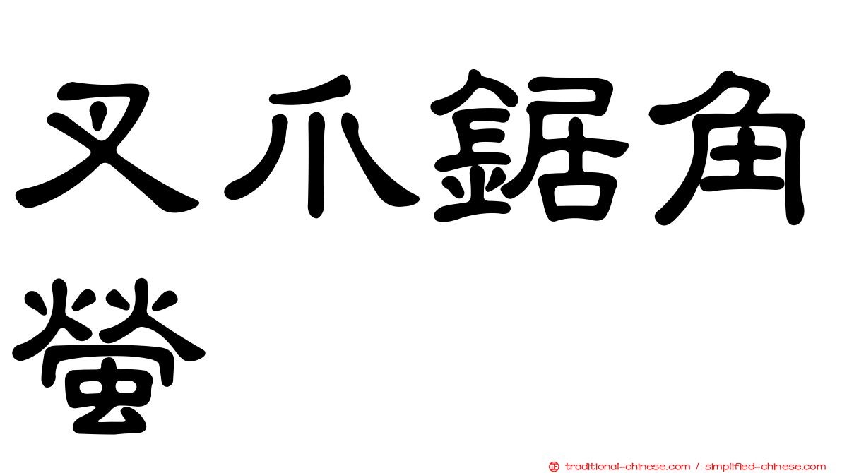 叉爪鋸角螢