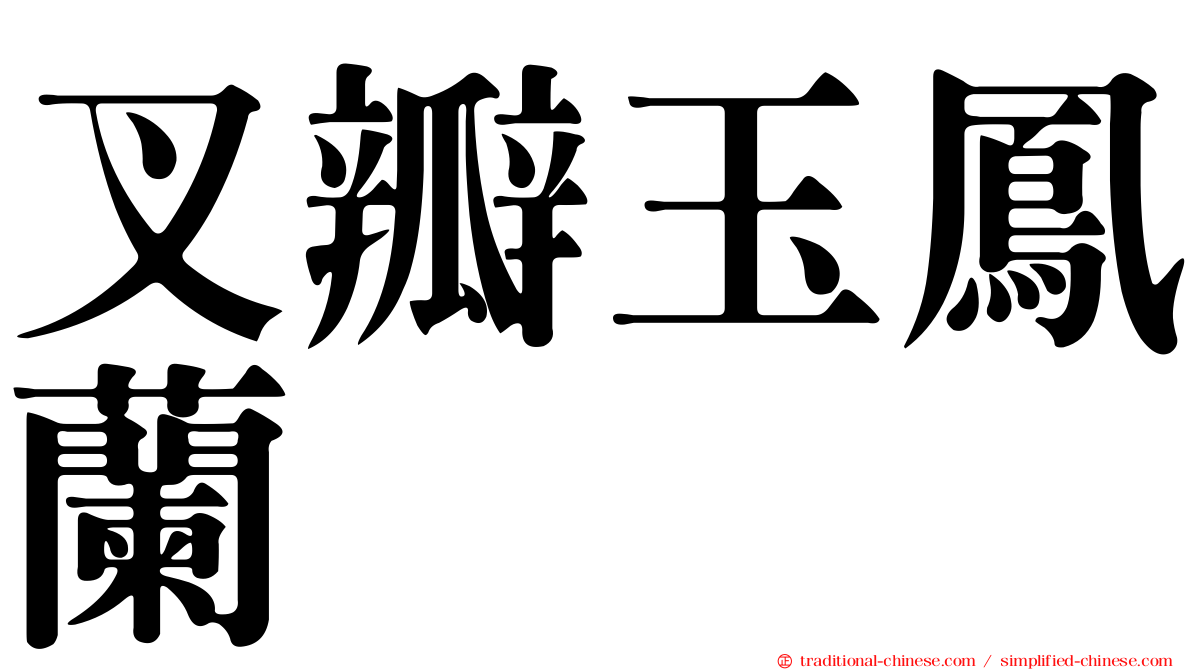 叉瓣玉鳳蘭