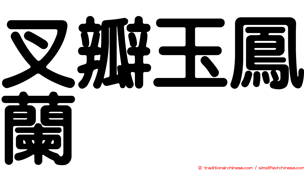 叉瓣玉鳳蘭