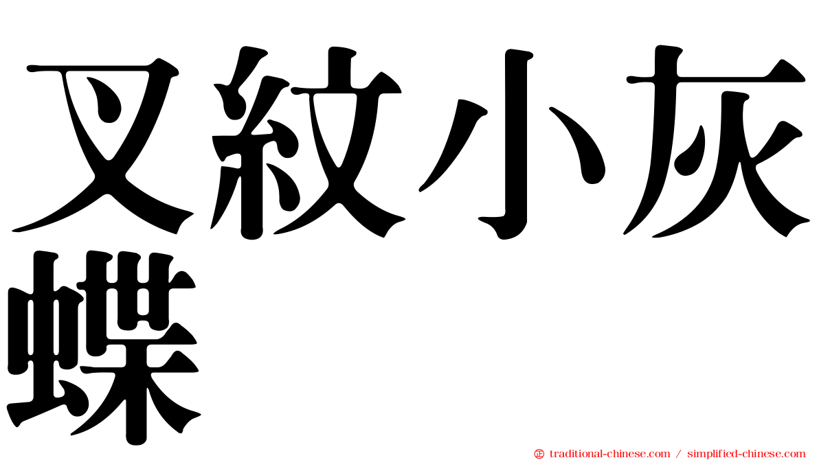 叉紋小灰蝶