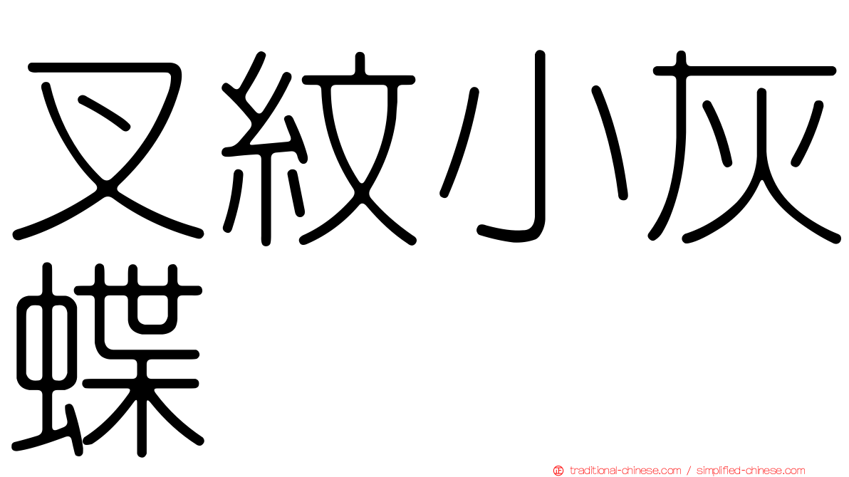 叉紋小灰蝶