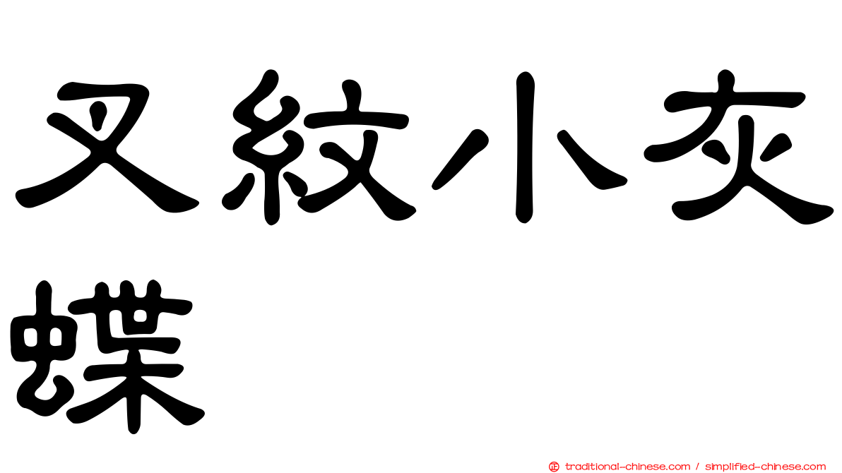 叉紋小灰蝶